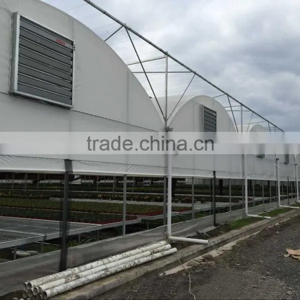 Manufacturer Plastic Film Greenhouse Tunnel for Medical Plant photo-3