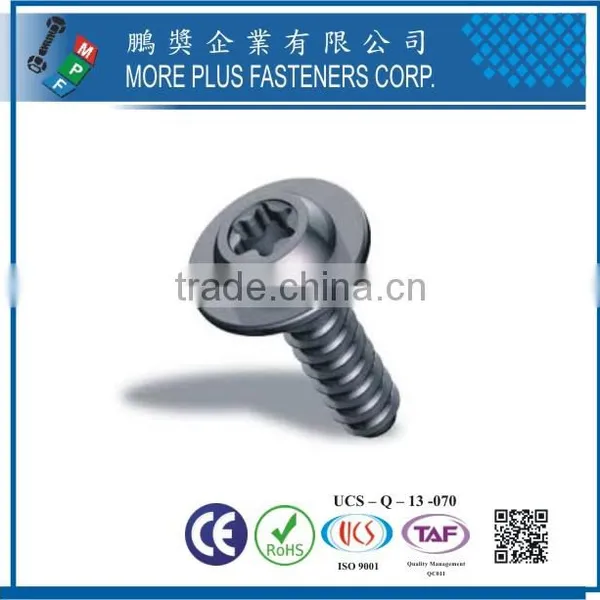 Maker in Taiwan Hot Sales Stainless Steel Thread Forming Screws photo-3