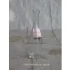 China (Mainland) Glass Bottle