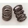 Valve Spring photo-3