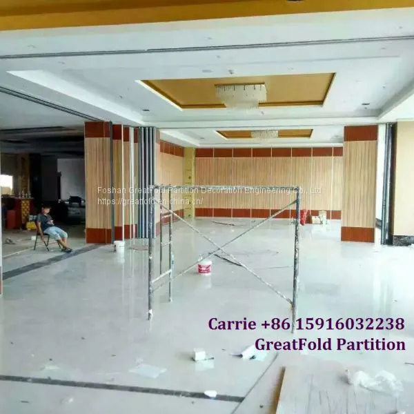 High Quality Mdf Frameless Aluminum Glass Partition Folding Door for Showroom photo-2