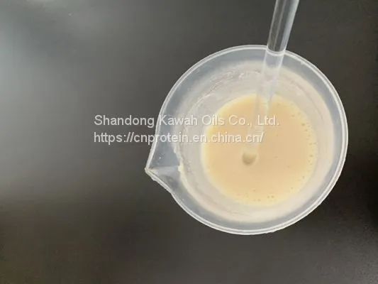Factory Bulk Price Soy Protein Isolate 90% for Meat Sausages Beverage Dairy photo-4