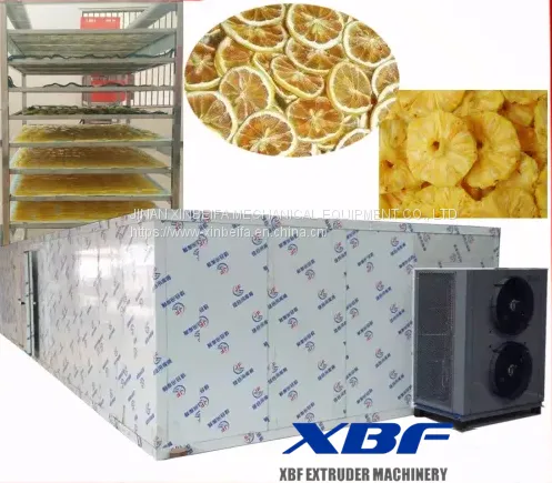 Hot Air Energy Type Grapes Fruit and Vegetable Dryer Machine photo-4