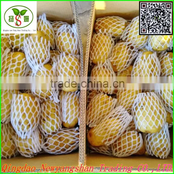 (HOT) Onion/Fresh Onion/CHINA ONION photo-4