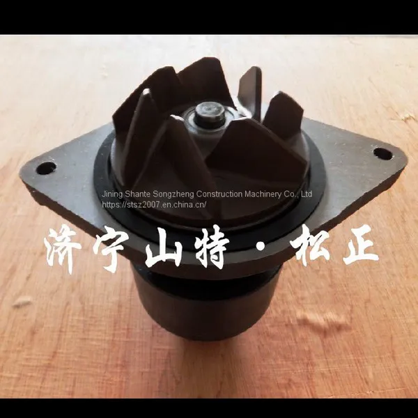 Komatsu Excavator Engine Water Pump Komatsu Excavator Accessories Daquan Pc200pc360 Original photo-5