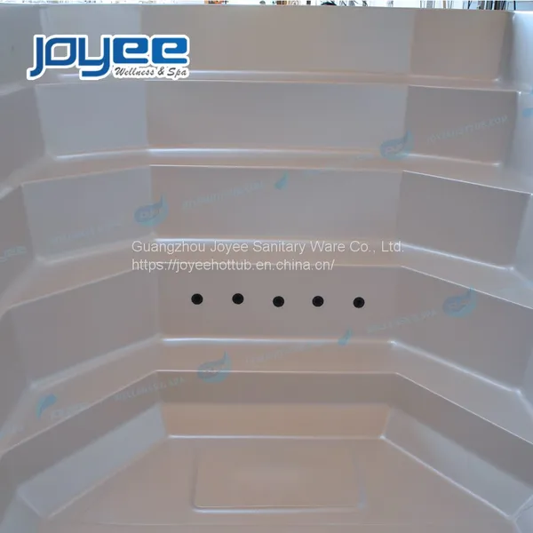 JOYEE Endless Pool Spa Swimming Pool Hydro Whirlpool 2 Person BalBoa System Massage Spa Hot Tub photo-3