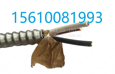 Solid Copper 12/2 Armoured Cables AC90 Cable