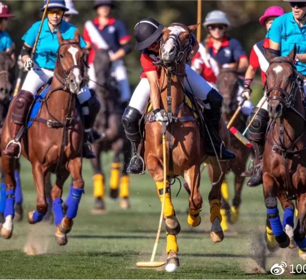 Equestrian Polo Scoring System photo-4