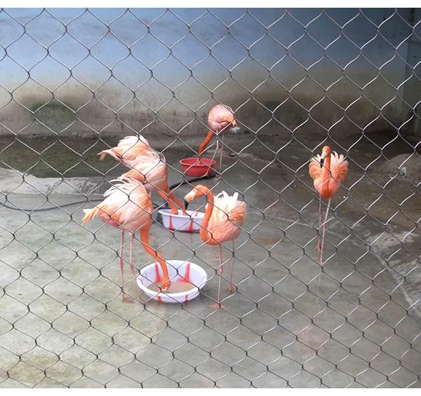 Hebei Longen Supply Wire Mesh for Parrots OEM Steel Rope Mesh Protecting Mesh Woven Protection Plain Weave Customizable CN;HEB photo-4
