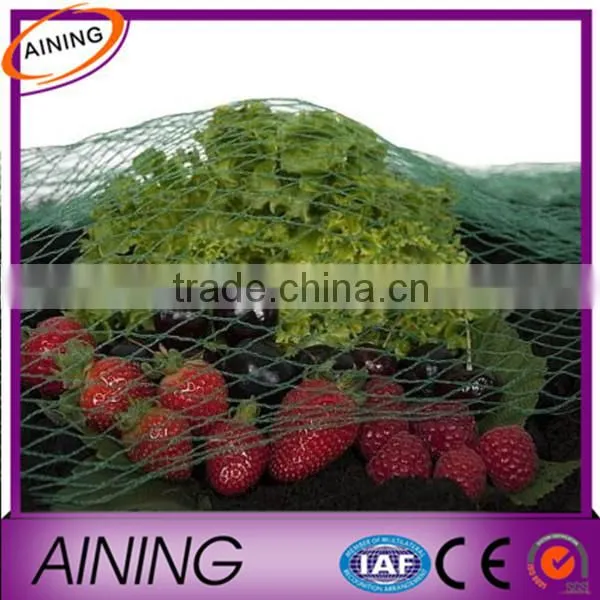 Heavy Duty Anti Bird Netting for Viticulture, Horticulture,agriculture photo-2