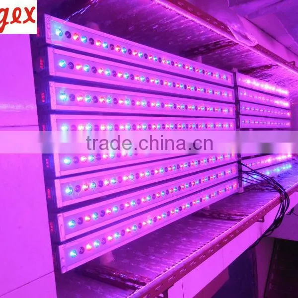 LED Linear RGB Wall Washer Die Casting Aluminum Housing photo-5