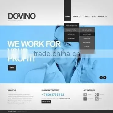Search Engine Optimization photo-4