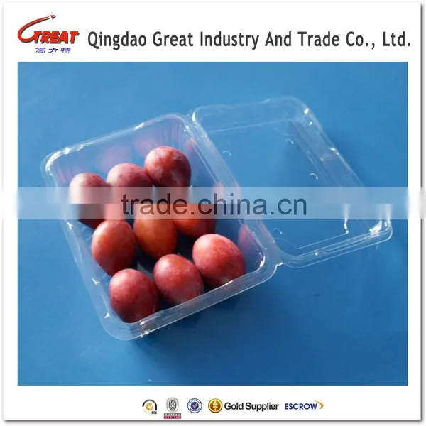 Disposable Clear Plastic Clamshell Containers for Fruit photo-2