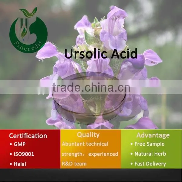 GMP Factory Supply Rosemary Ursolic Acid/Ursolic Acid