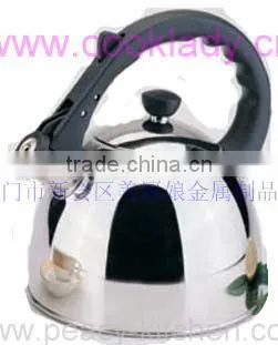 Stainless Steel Kettle