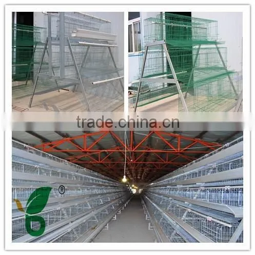 Durable Economic Steel Wire Mesh Chicken Cage photo-2