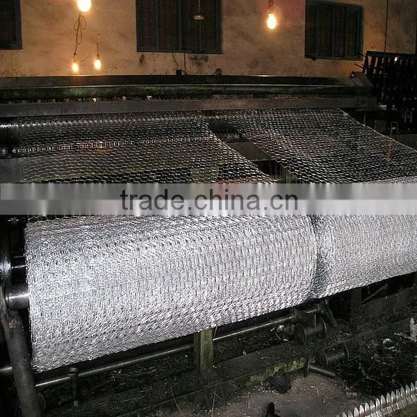 Pvc Coated Chicken Wire Poultry Wire Chicken Wire Mesh photo-6