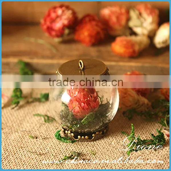 Hot Christmas Gift Jewelry Charms Glass Ball Necklace Pendant , Glass Bottle Necklace Pendant photo-2
