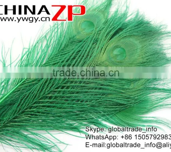 Leading Supplier CHINAZP Wholesale Cheap Full Eye Dyed Green Peacock Tail Feathers photo-3