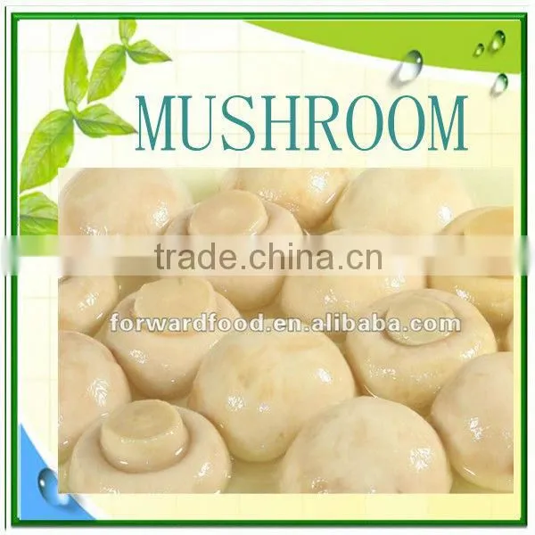 Canned Mushroom Brands Mushroom in Can