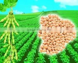 High Quality Non-GMO Soy Fiber