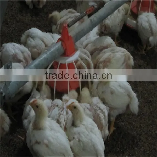 Automatic Poultry Equipment for 40'x450' Broiler Houses photo-4
