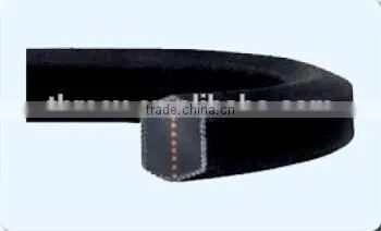 Type cc Hexagonal Belts