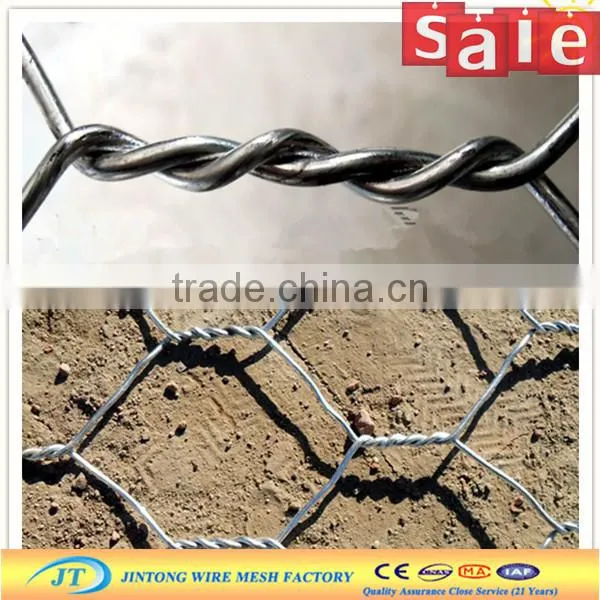 Pvc Coated Hexagonal Wire Mesh photo-3