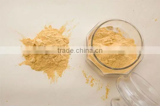 Hydrolysed Soy Protein photo-2