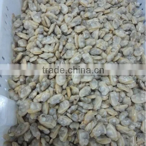 COOKED AND IQF FROZEN YELLOW CLAM MEAT photo-2