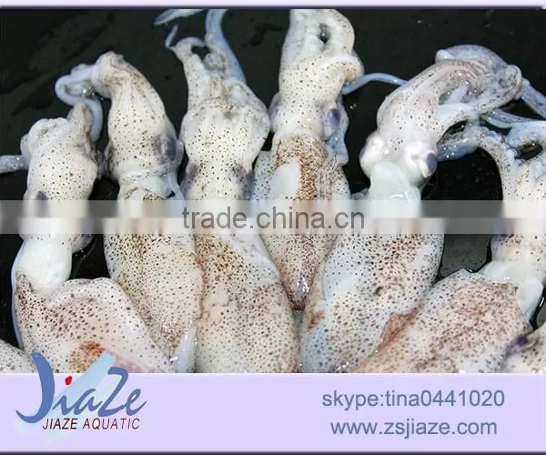 Frozen Food Baby Squid photo-3