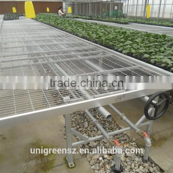 Agricultural Greenhouse Seedbed With Welded Wire Mesh