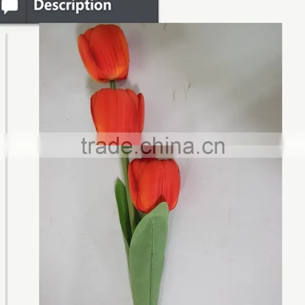 Colorful Wholesale Cheap Tulip Flower for Decoration photo-4
