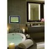 Hotel LCD TV