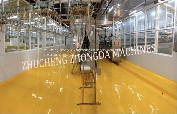 Good Quality Full Set of Chicken Abattoir Machine Line photo-3