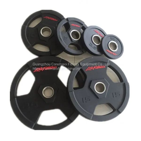CM-831 Life Fitness PU Weight Plate photo-2