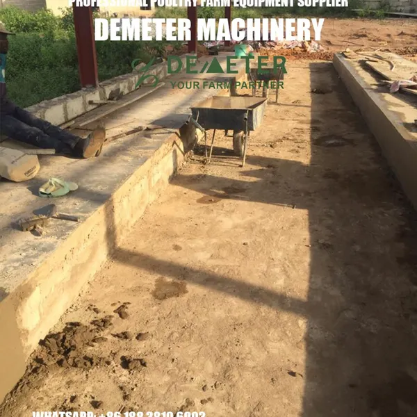 Ethiopia Layer Chicken Cage Equipment photo-4