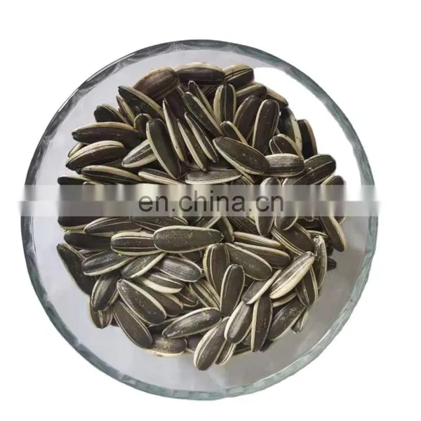 Produce Giant White Sunflower Seeds New Crop Sun Flower Seed Price