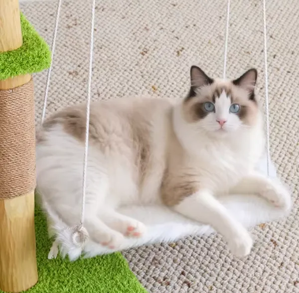 Green Grass Cat Tree with Suspended Hammock and Durable Scratching Posts