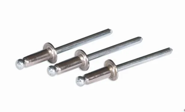 Rivet