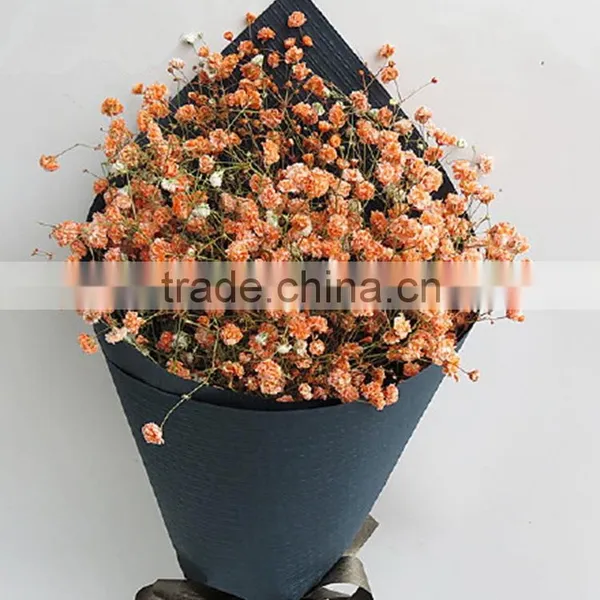 Colorful Hotsell Green Gypsophila photo-2