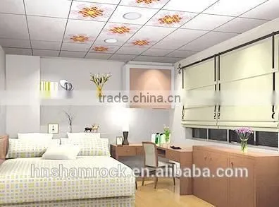 Decorative Material PVC Panels for Indoor Decoration photo-3
