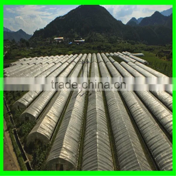 Elastic Insect Mesh Anti Bird Net for Organic Net Crop Veg Protection photo-3