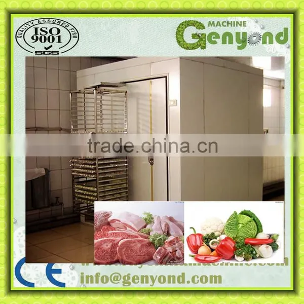 Industrial French Fries Quick Freezing Machine photo-2