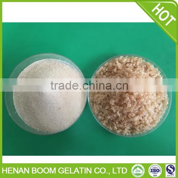 Hot Selling Hydrolyzed Gelatin Powder Made in China photo-5
