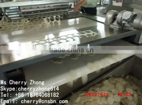 Rice Crackers Chips Processing Machine photo-4