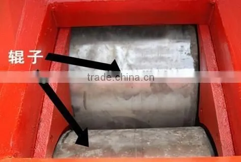 Mining Equipment 2PG800 Double Roll Crusher Sale photo-3