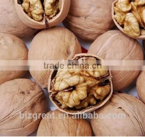 New Crop Bulk Walnut in Thin Shell for Sales photo-5