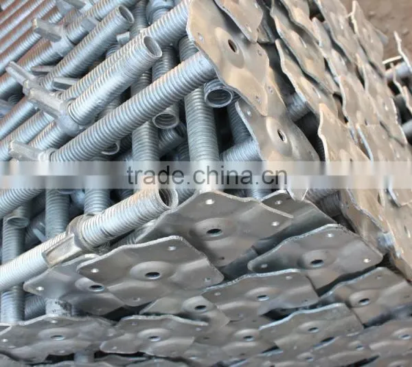 Steel Fasteners U-head Scaffolding Base Screw Jack Manufacturer photo-2