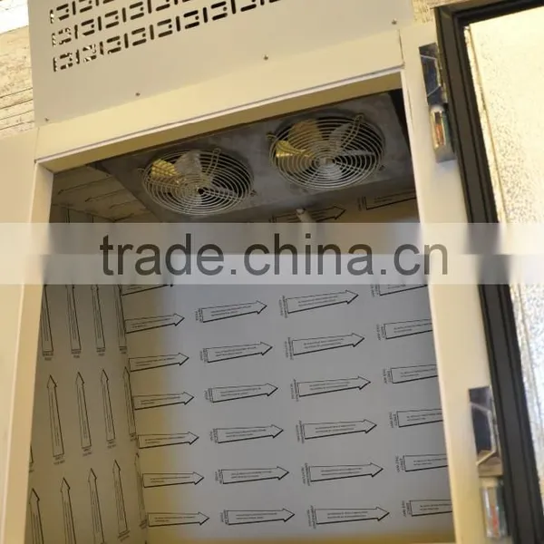 Ice Bag Storage Freezer photo-5